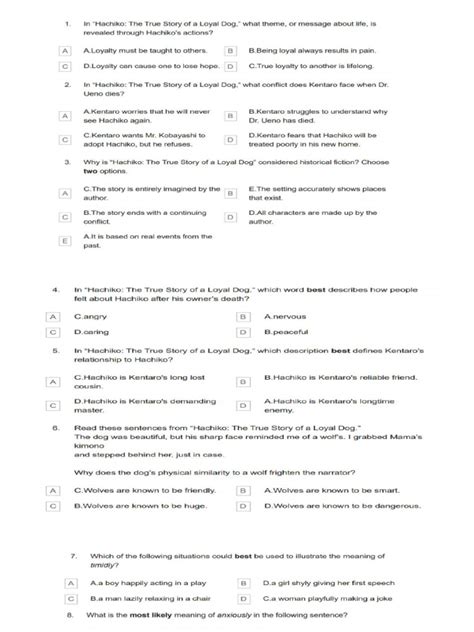 lucille strat tds document pdf